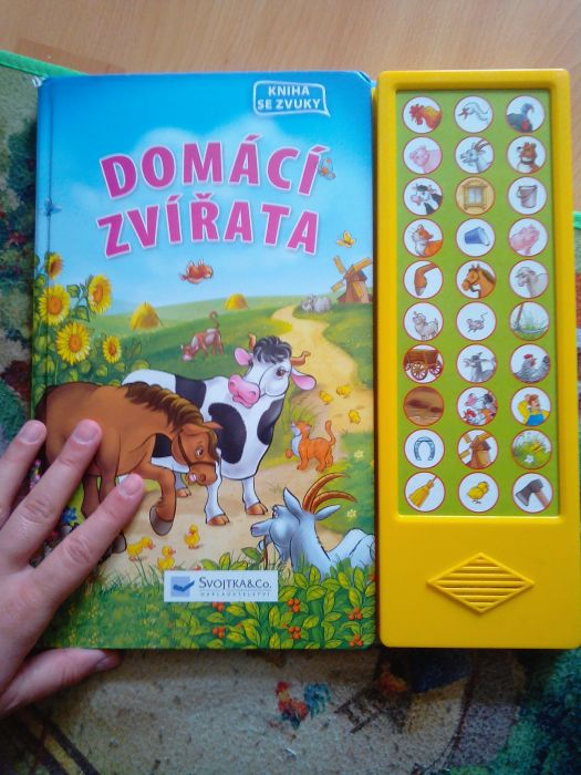 Náhled