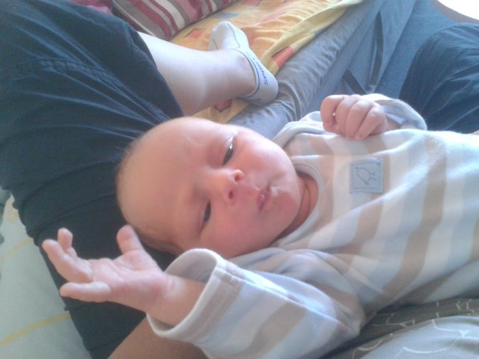 Náhled