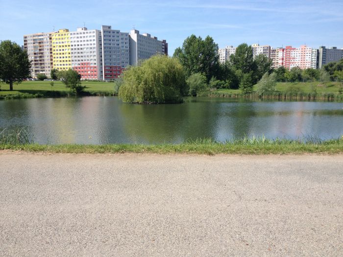 Náhled