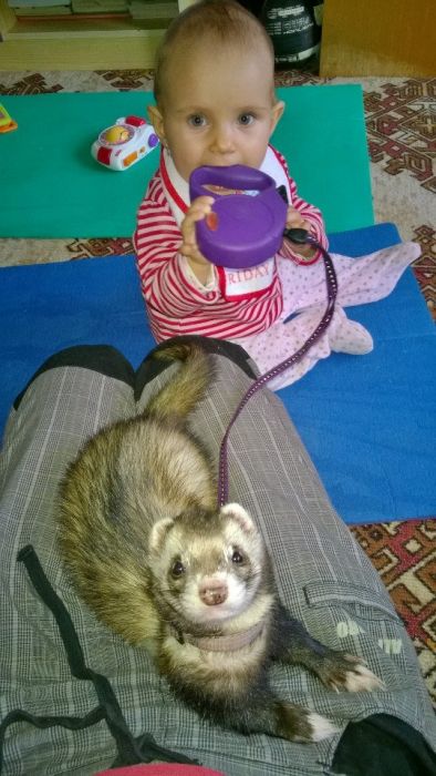 Náhled